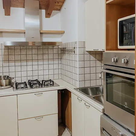Mansarda De Legn Apartment *